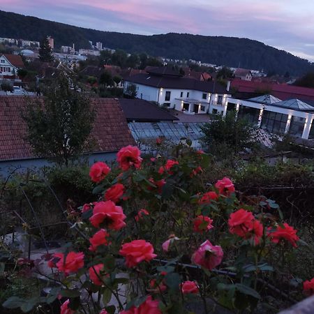 Casa Adam Hotel Sighisoara Ngoại thất bức ảnh